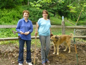 May 2014 --Hazel and Jill take a well-earned break