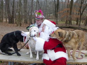 Santa and his helper the  Mummer find out  whether these dogs have been naughty or nice