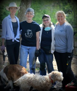 L to R, Michelle Detwiler, Ellen Briggs, Ellen Reese and Melissa O'Connor pause for photo op in May 2015 marathon planting of 450 Blue Wood Sedge. 